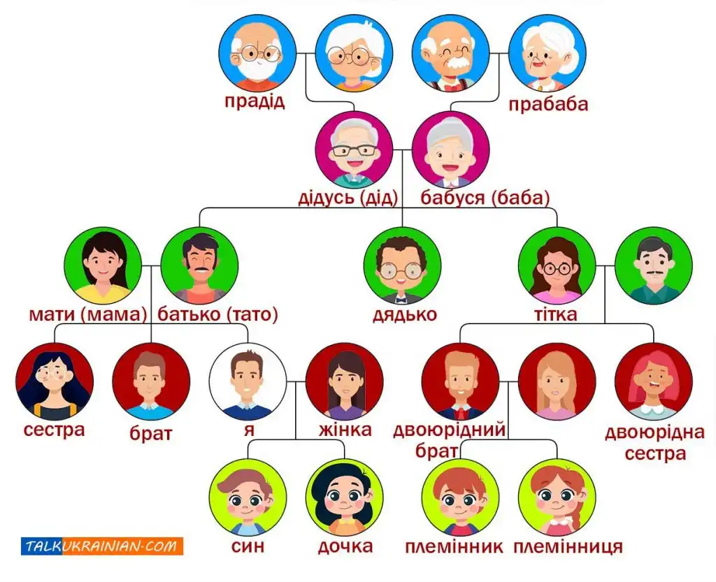 Family tree in ukrainian